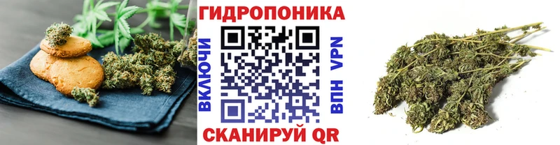 Cannafood конопля  закладка  Алапаевск 