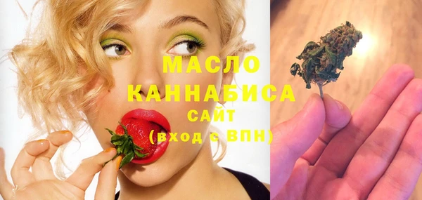 гашик Медногорск