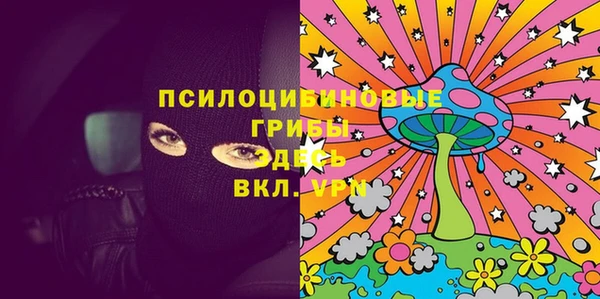 гашик Медногорск
