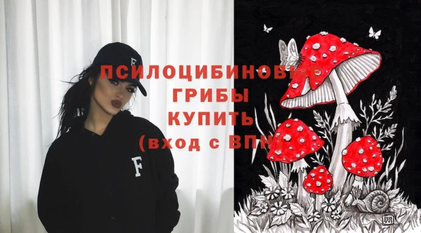 гашик Медногорск