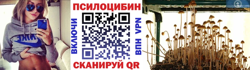 даркнет сайт  Алапаевск  Галлюциногенные грибы Psilocybe 